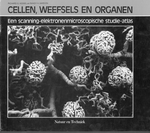 Cellen, weefsels en organen (studie-atlas) SISO 573.2